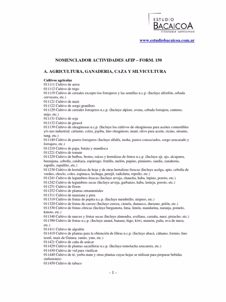 ¿Qué incluye la actividad 681098?