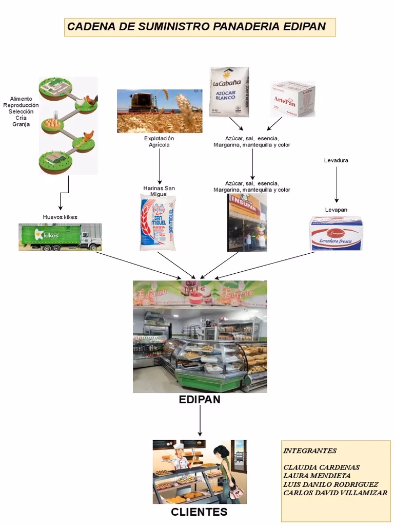 ¿Cuáles son las 4 etapas de la cadena de suministro?