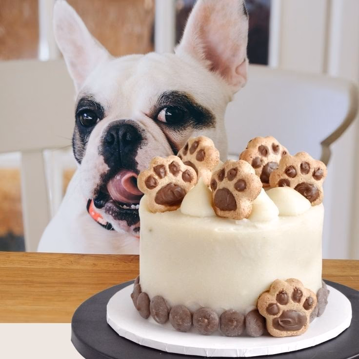 ¿Son seguros los pasteles para mascotas?