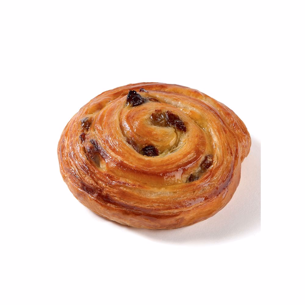 ¿Qué hay dentro de una caracola?