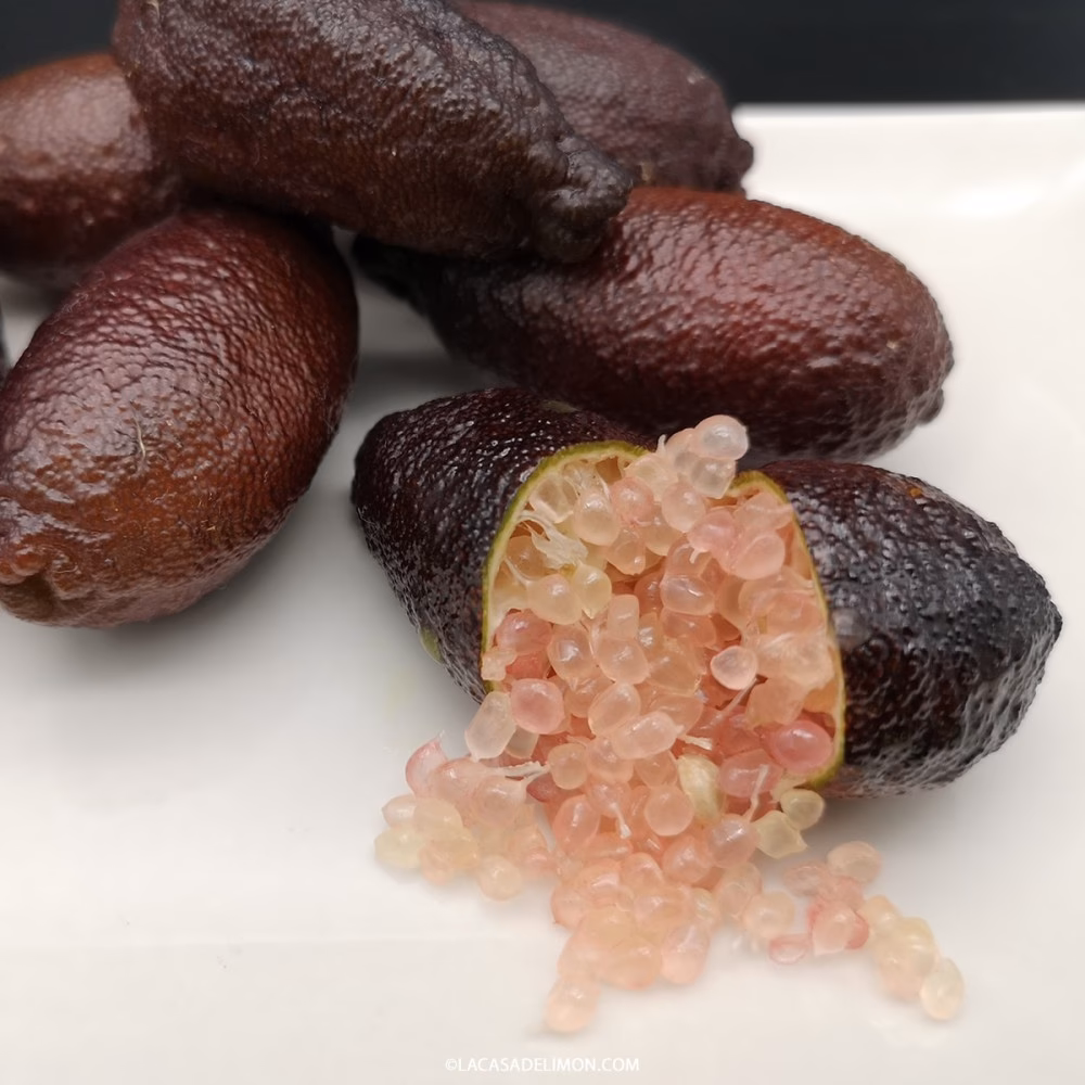 ¿De dónde viene el caviar de limón?