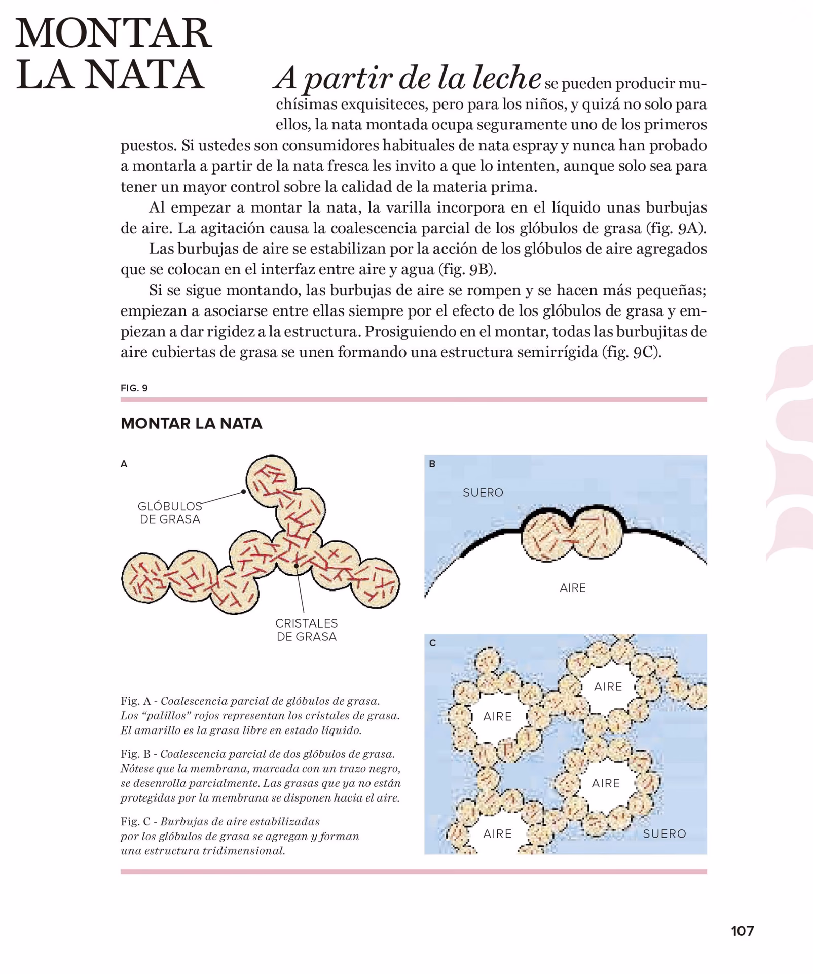 ¿Cuál es la ciencia de la repostería?