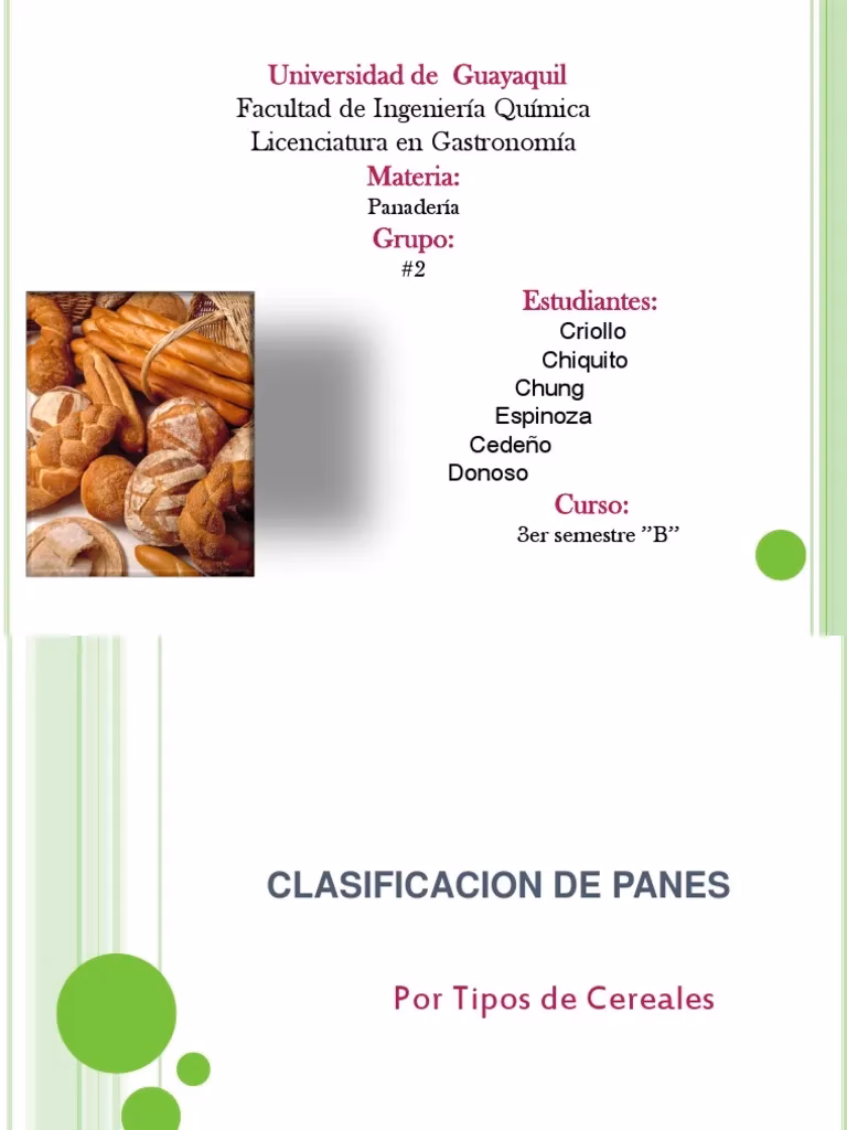 ¿Cuáles son las ramas de la panadería?