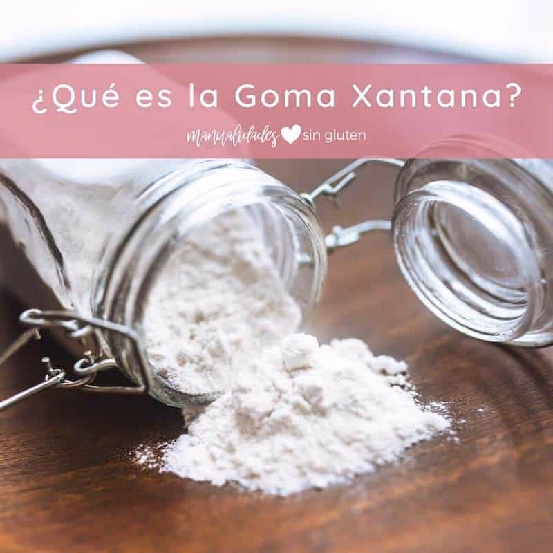 ¿Cuánto se pone de goma xantana?