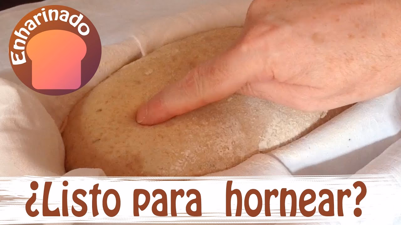 ¿Cómo saber cuando la masa ha terminado de fermentar?