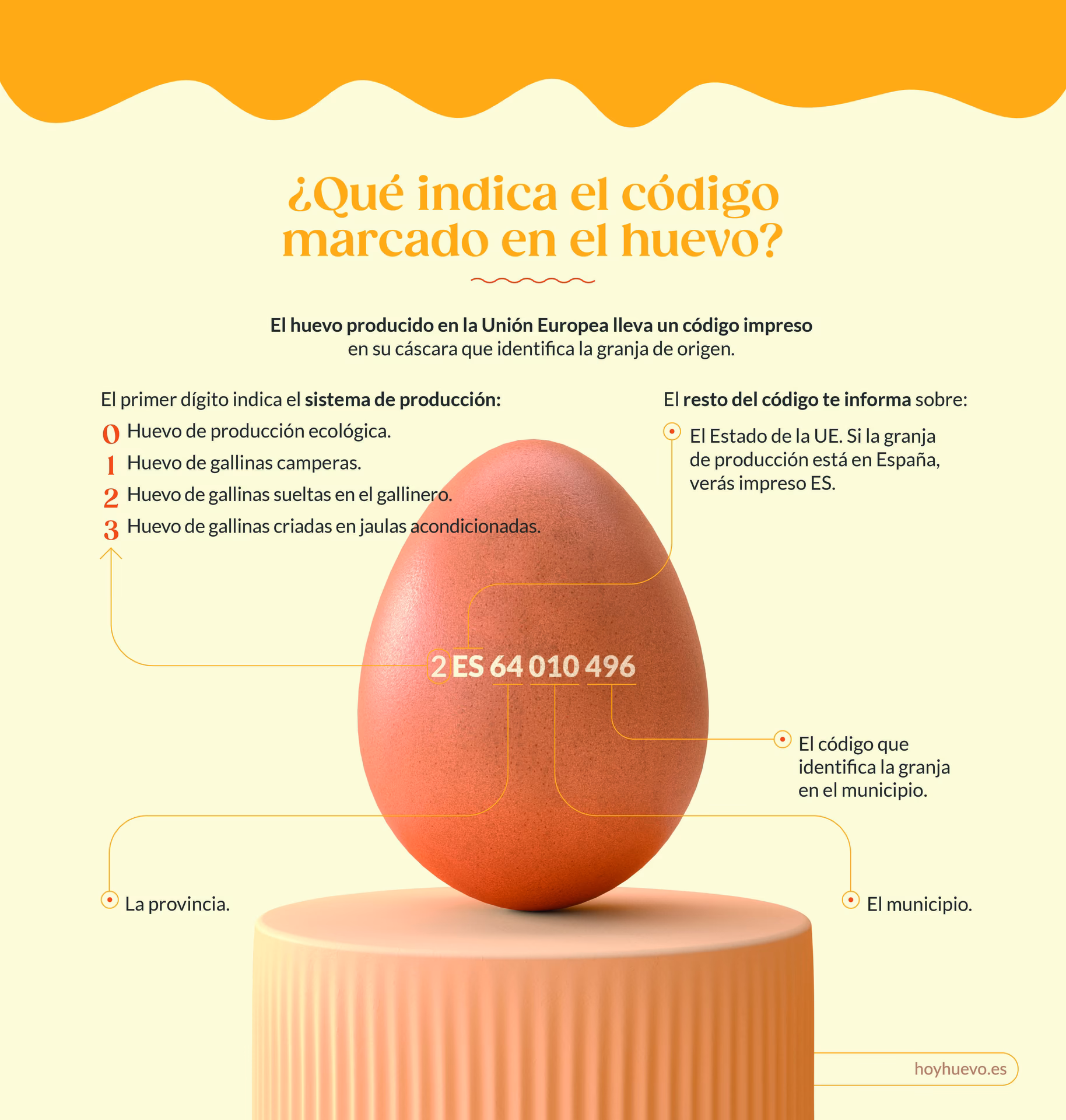 ¿Cuánto debe pesar un huevo para hornear?