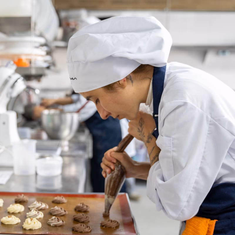 ¿Quién es el dueño de Gato Dumas?