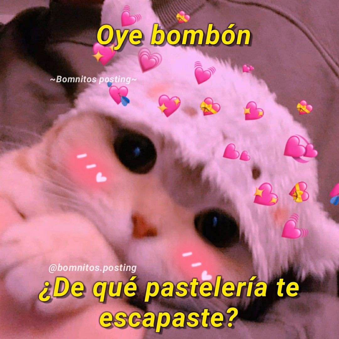 ¿Dónde nació bombón?