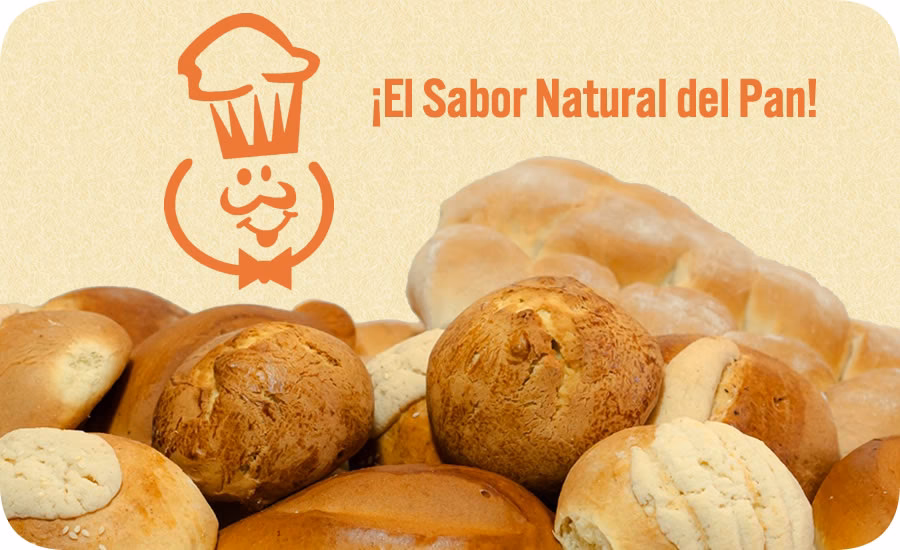 ¿A qué grupo pertenece el cóndor?