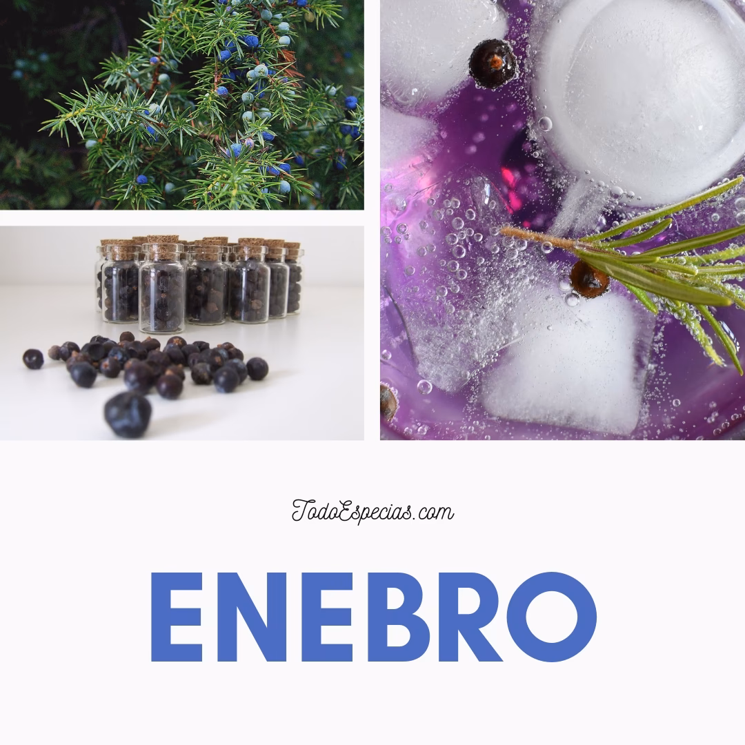 ¿Cómo se usa el enebro en la cocina?