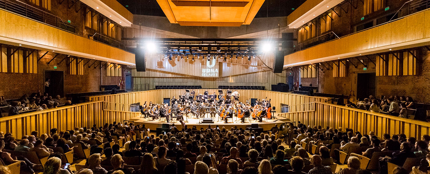 ¿Quién es el director de la Usina del Arte?