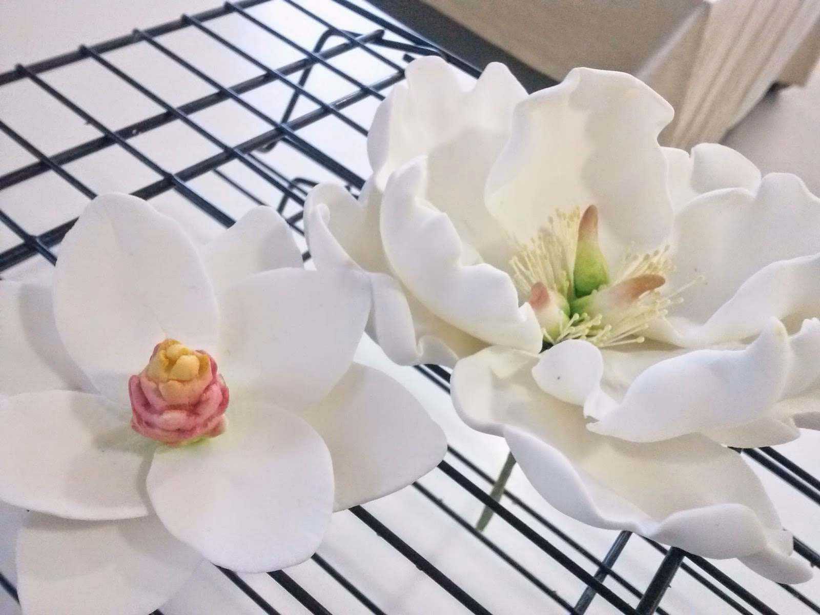 ¿Dónde colocar la Flor de azúcar?