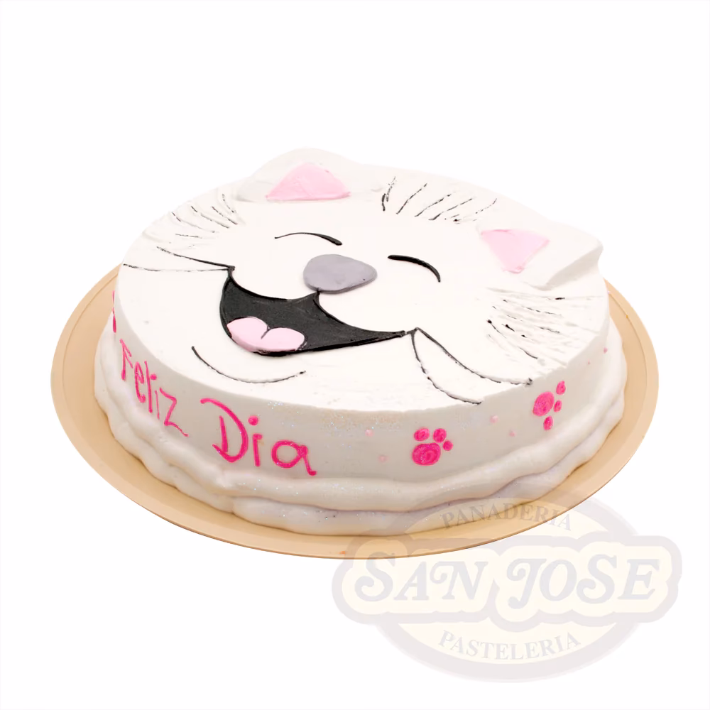 ¿Qué se le puede cocinar a un gatito?