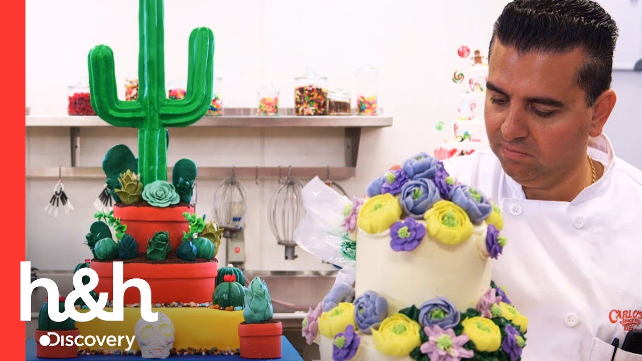 ¿Dónde puedo ver los programas de Home and Health?