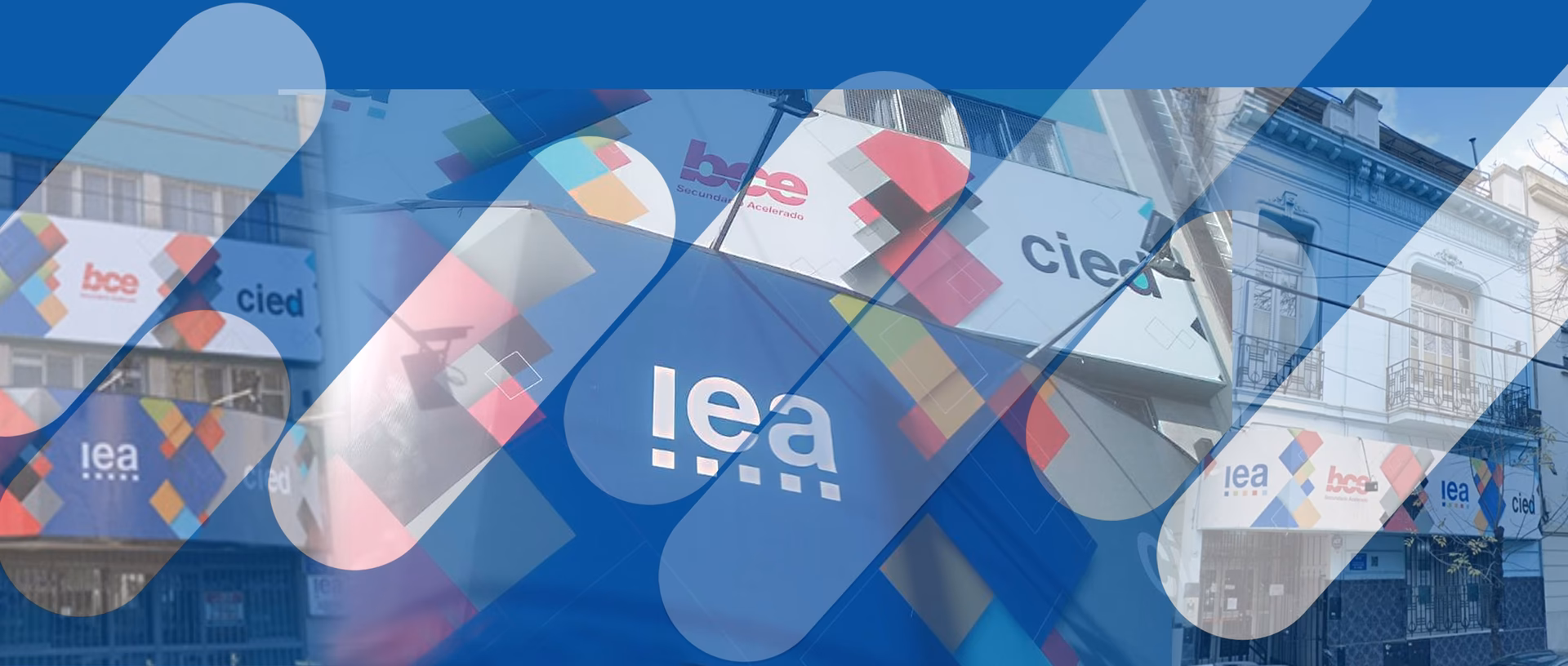 What does IEA stand for in education?