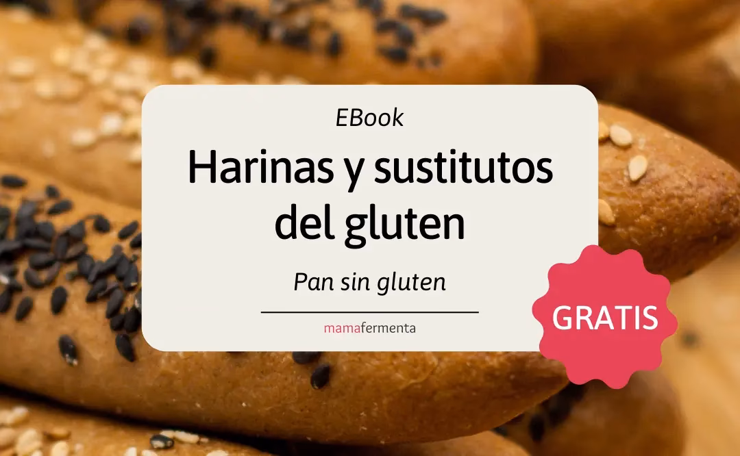 ¿Cuáles son las características de las masas panificadas sin gluten?