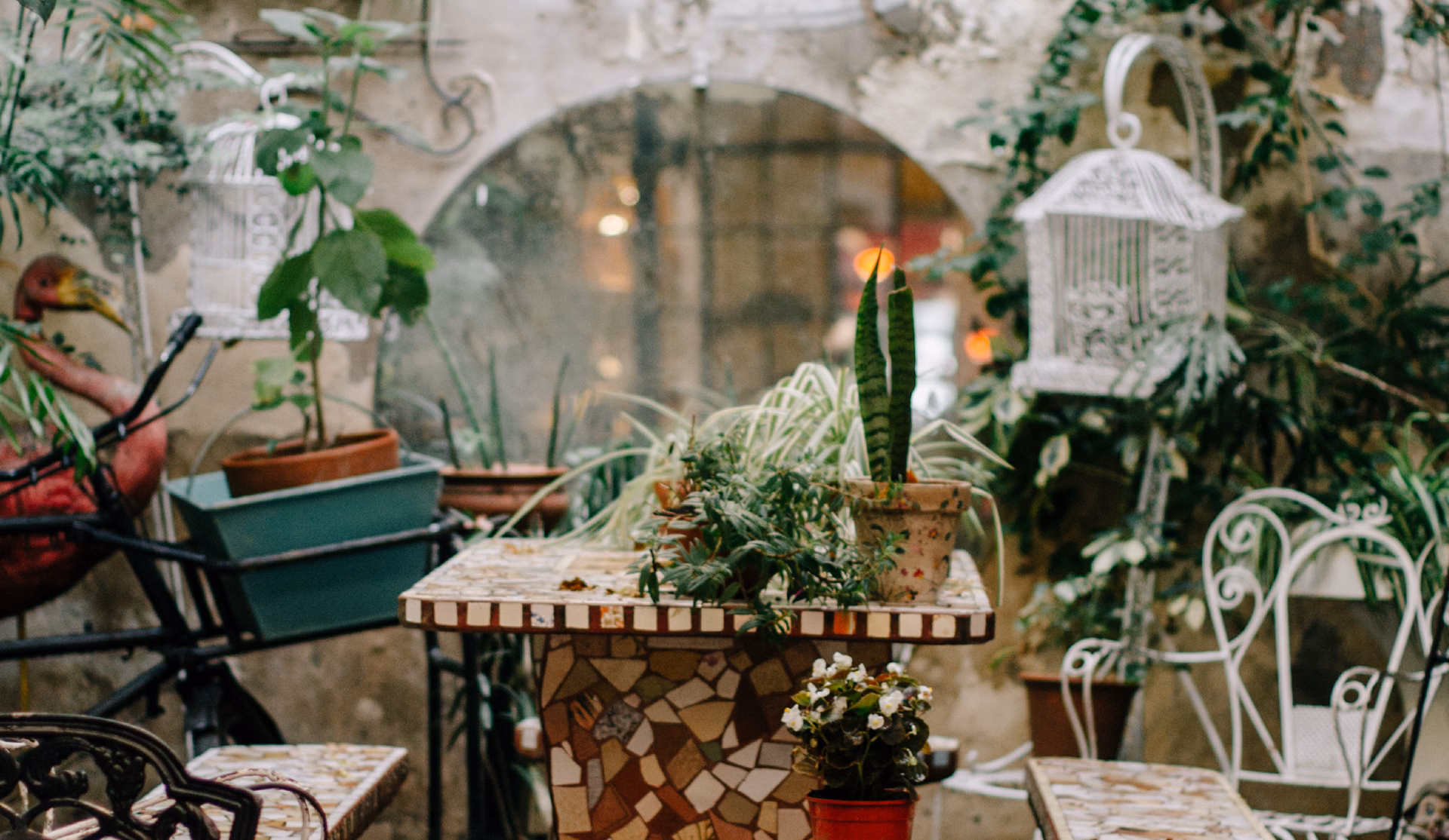 ¿Qué es el malvon?