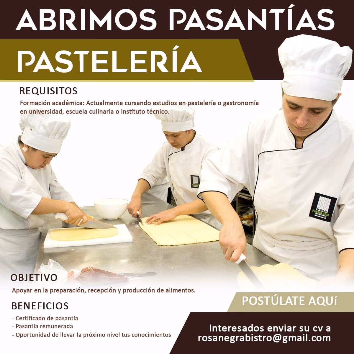 ¿Qué se realiza en las pasantías?