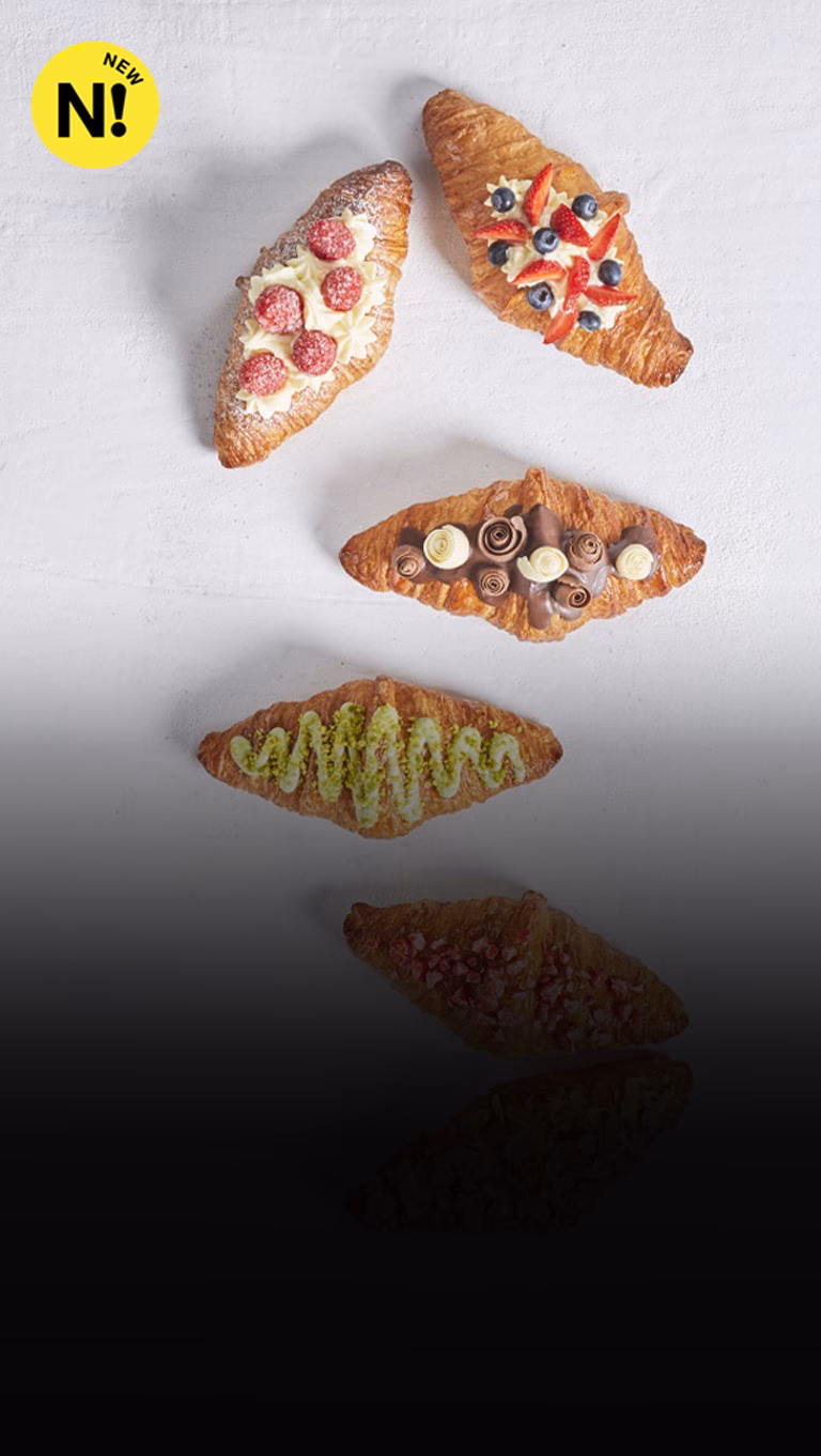 ¿Cuál es la historia de Bridor?