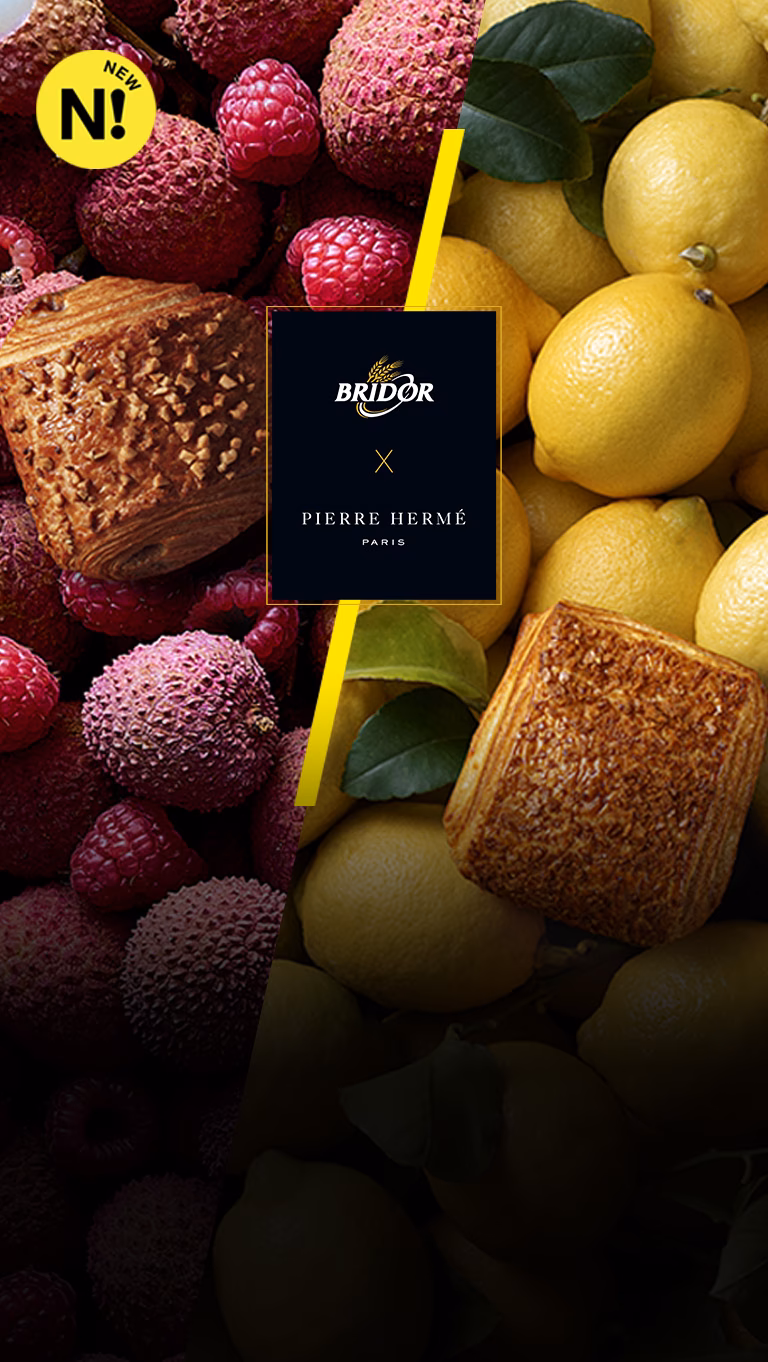 ¿Quién es el CEO de Bridor?