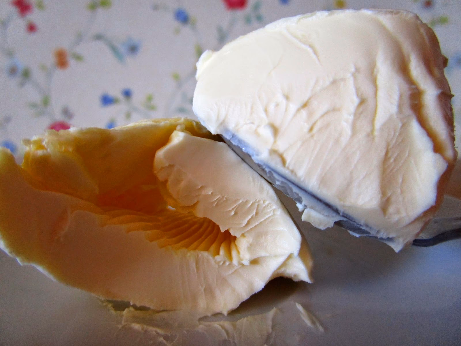 ¿Qué alimentos llevan grasa animal?