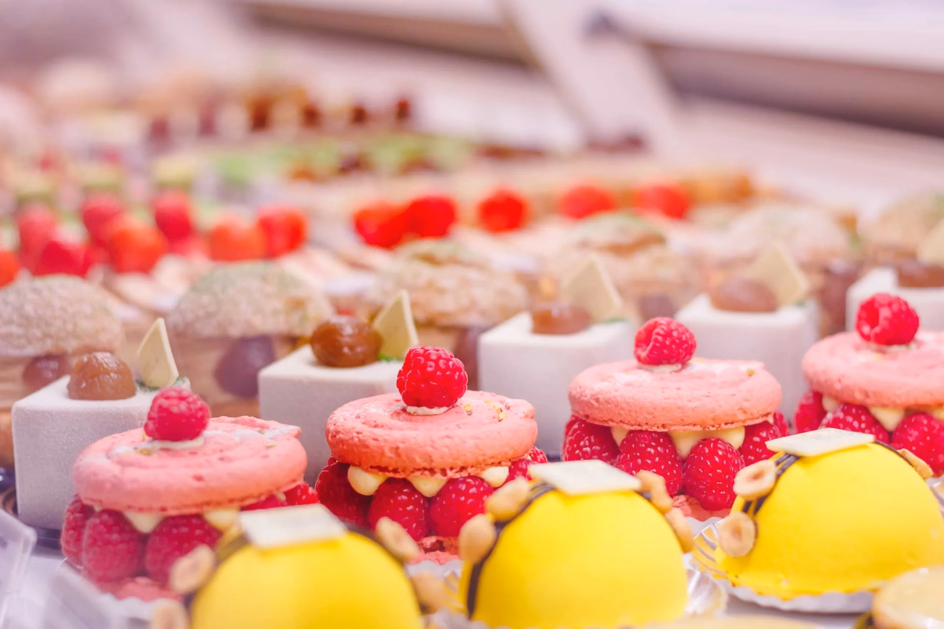 ¿Qué empresa es INEM?