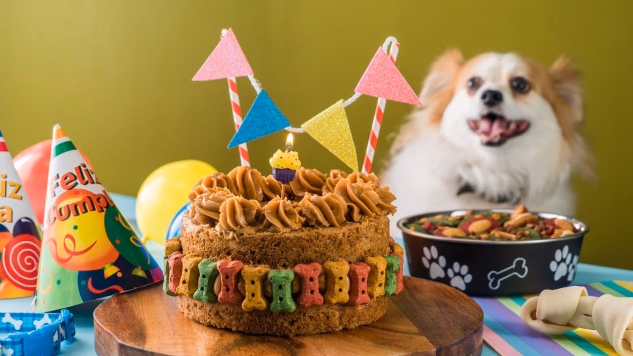¿Qué se le puede dar a un perro de postre?