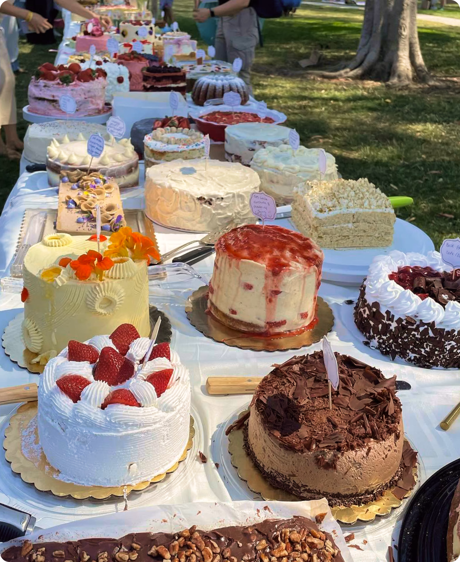 ¿Qué es un picnic de pasteles?