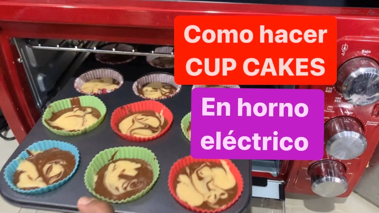 ¿Qué puedo hacer en mi horno eléctrico?